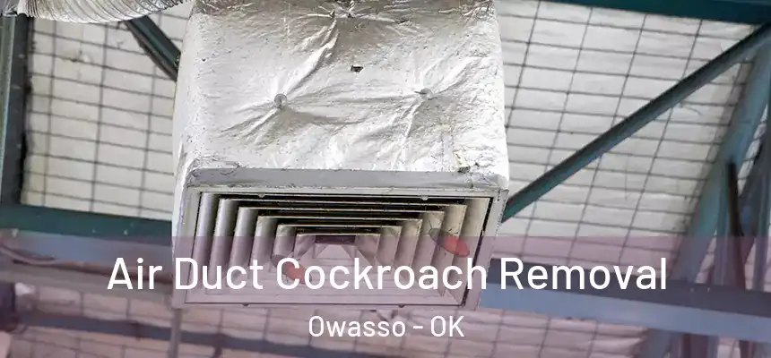  Air Duct Cockroach Removal Owasso - OK