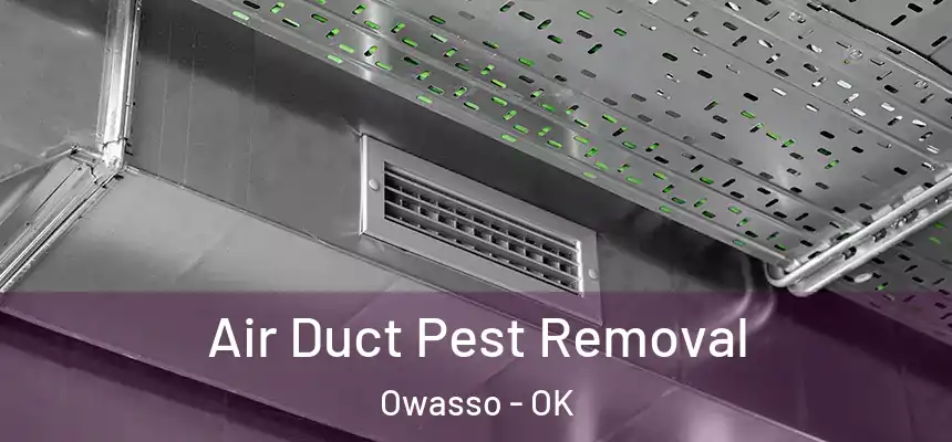  Air Duct Pest Removal Owasso - OK