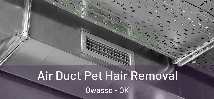  Air Duct Pet Hair Removal Owasso - OK