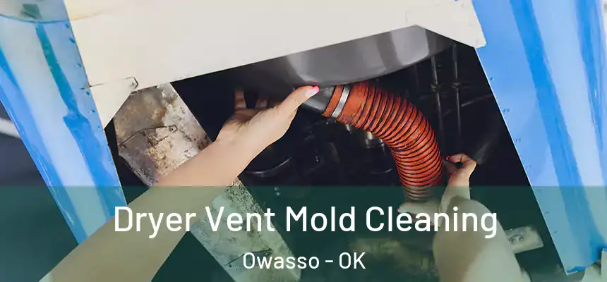 Dryer Vent Mold Cleaning Owasso - OK