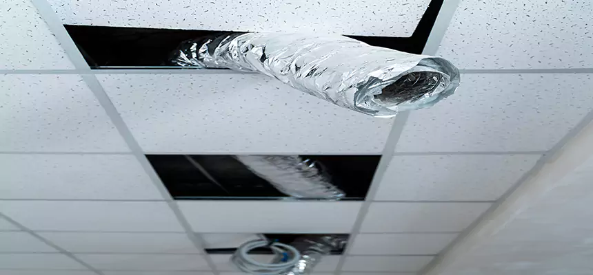 Affordable HVAC Sanitizing After Pest Removal in Owasso