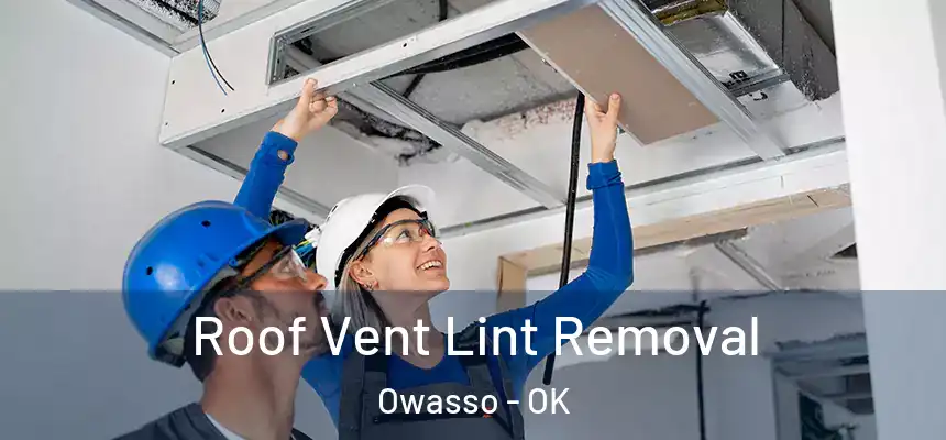 Roof Vent Lint Removal Owasso - OK
