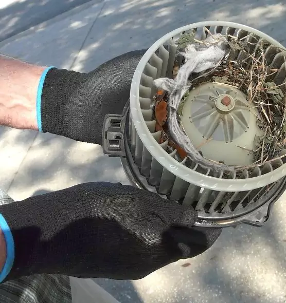 About Air Duct Mice Removal in Owasso, OK