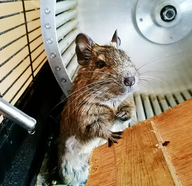 Why Homeowners & Businesses Trust Us Owasso, OK